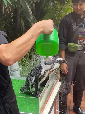 マクセル アクアパーク品川に投稿された画像（2023/9/17）