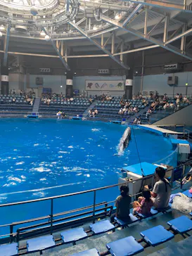 マクセル アクアパーク品川に投稿された画像（2023/9/17）