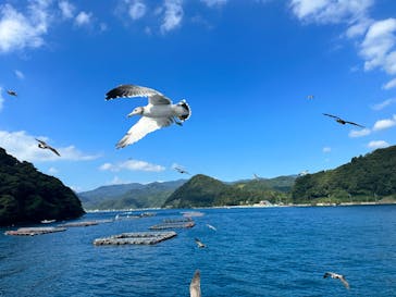 伊根湾めぐり遊覧船に投稿された画像（2023/9/17）