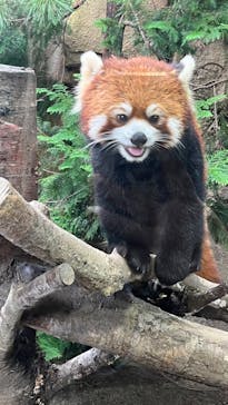 那須どうぶつ王国に投稿された画像（2023/9/17）