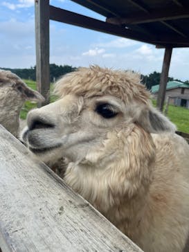 那須どうぶつ王国に投稿された画像（2023/9/17）