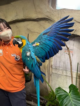 那須どうぶつ王国に投稿された画像（2023/9/17）