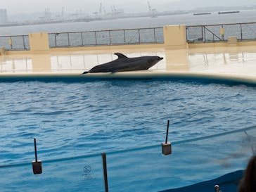 マリンワールド海の中道に投稿された画像（2023/9/17）