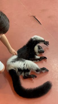 那須ワールドモンキーパークに投稿された画像（2023/9/17）