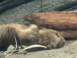 仙台うみの杜水族館に投稿された画像（2023/9/17）