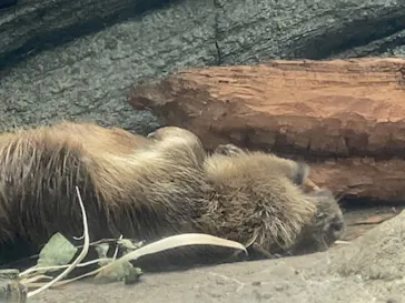 仙台うみの杜水族館に投稿された画像（2023/9/17）