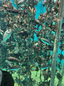 仙台うみの杜水族館に投稿された画像（2023/9/17）