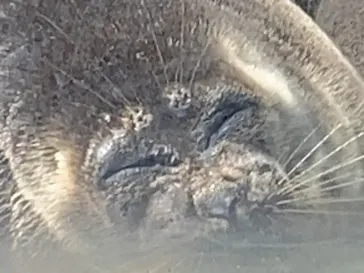 仙台うみの杜水族館に投稿された画像（2023/9/17）