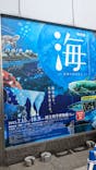 特別展「海　―生命のみなもと―」（国立科学博物館）に投稿された画像（2023/9/17）