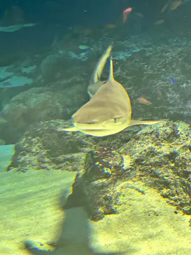 マクセル アクアパーク品川に投稿された画像（2023/9/17）