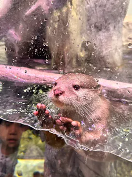 マクセル アクアパーク品川に投稿された画像（2023/9/17）