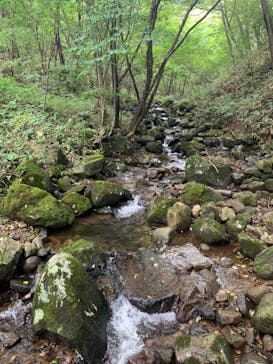 那須どうぶつ王国に投稿された画像（2023/9/17）