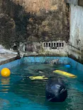 天王寺動物園に投稿された画像（2023/9/17）