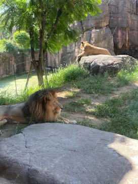 天王寺動物園に投稿された画像（2023/9/17）