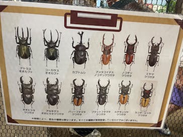 JOYPOLIS 特別イベントスペースに投稿された画像（2023/9/17）