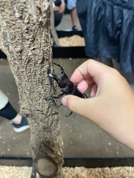 JOYPOLIS 特別イベントスペースに投稿された画像（2023/9/17）