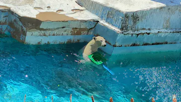 天王寺動物園に投稿された画像（2023/9/17）