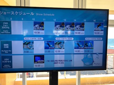 新江ノ島水族館に投稿された画像（2023/9/17）