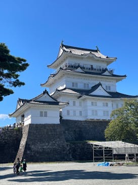 小田原城に投稿された画像（2023/9/17）