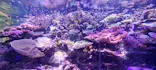 名古屋港水族館に投稿された画像（2023/9/17）