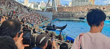 名古屋港水族館に投稿された画像（2023/9/17）