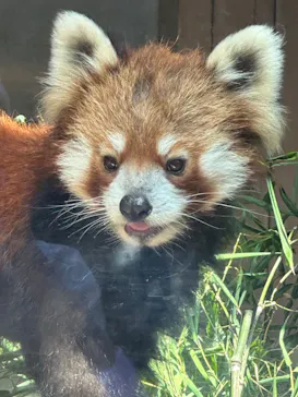 横浜・八景島シーパラダイスに投稿された画像（2023/9/17）