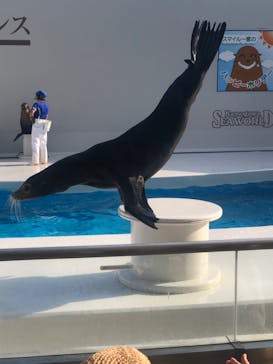 鴨川シーワールドに投稿された画像（2023/9/17）