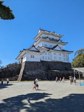 小田原城に投稿された画像（2023/9/17）