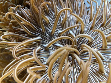 AOAO SAPPOROに投稿された画像（2023/9/17）