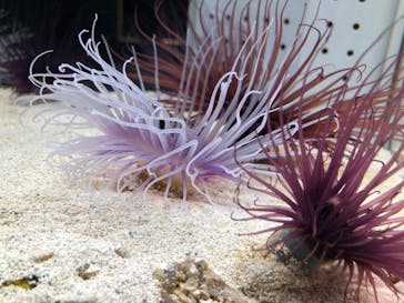 AOAO SAPPOROに投稿された画像（2023/9/17）