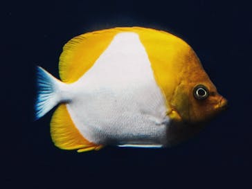 環境水族館アクアマリンふくしまに投稿された画像（2023/9/17）