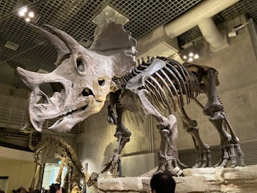 国立科学博物館に投稿された画像（2023/9/17）