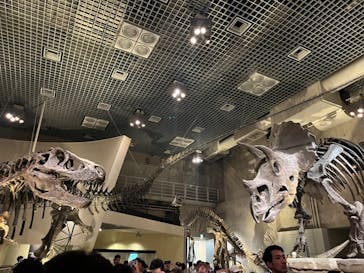 国立科学博物館に投稿された画像（2023/9/17）