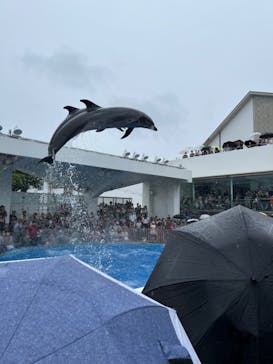 九十九島水族館海きららに投稿された画像（2023/9/17）