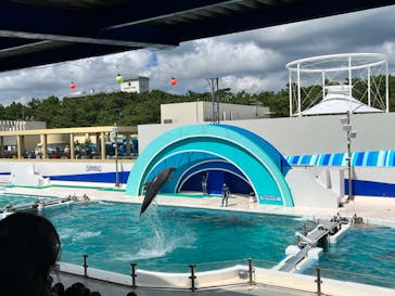 鴨川シーワールドに投稿された画像（2023/9/17）