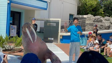 南知多ビーチランド＆南知多おもちゃ王国に投稿された画像（2023/9/17）