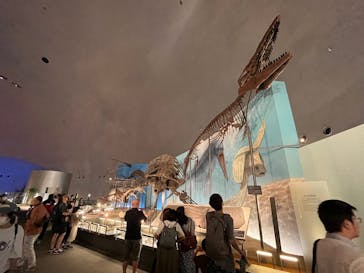 福井県立恐竜博物館に投稿された画像（2023/9/17）