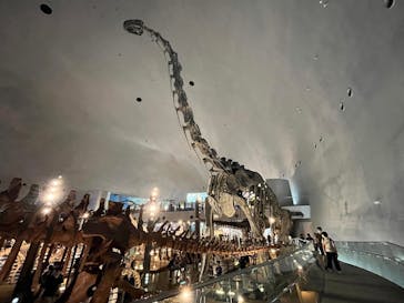 福井県立恐竜博物館に投稿された画像（2023/9/17）