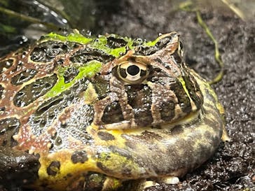 サンシャイン水族館に投稿された画像（2023/9/17）