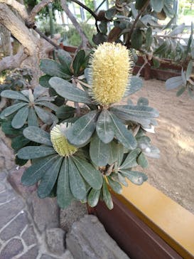 淡路ファームパーク イングランドの丘に投稿された画像（2023/9/17）