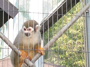 淡路ファームパーク イングランドの丘に投稿された画像（2023/9/17）