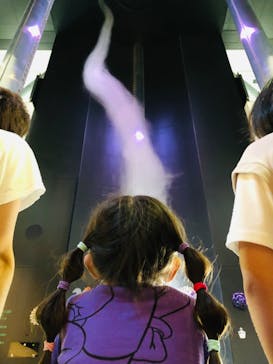 特別展「ネコ」 ～にゃんと！クールなハンターたち～に投稿された画像（2023/9/17）