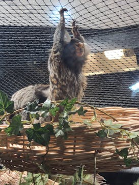 カワスイ 川崎⽔族館に投稿された画像（2023/9/17）