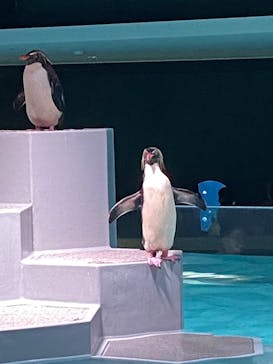 AOAO SAPPOROに投稿された画像（2023/9/17）