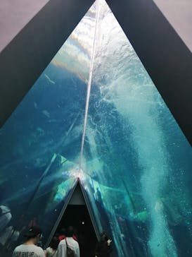 環境水族館アクアマリンふくしまに投稿された画像（2023/9/17）