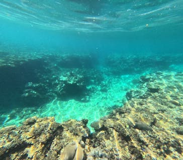 石垣島 ADVENTURE PiPi（イシガキジマアドベンチャーピピ）に投稿された画像（2023/9/17）