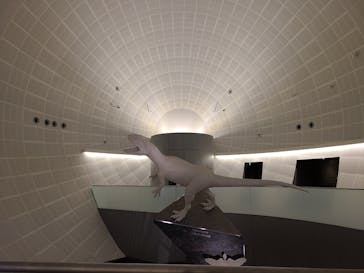 福井県立恐竜博物館に投稿された画像（2023/9/17）