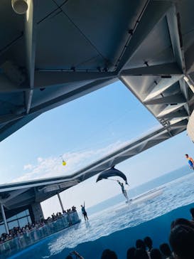 上越市立水族博物館 うみがたりに投稿された画像（2023/9/17）