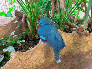 那須どうぶつ王国に投稿された画像（2023/9/17）