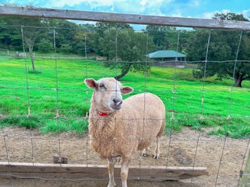 那須どうぶつ王国に投稿された画像（2023/9/17）